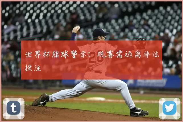 世界杯赌球警示:观赛需远离非法投注